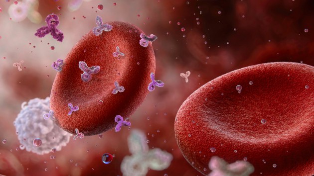 Механизм активации рецептора 5HT2A